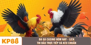 Đá Gà Casino Hôm Nay - Lịch Thi Đấu Trực Tiếp Và Kèo Chuẩn